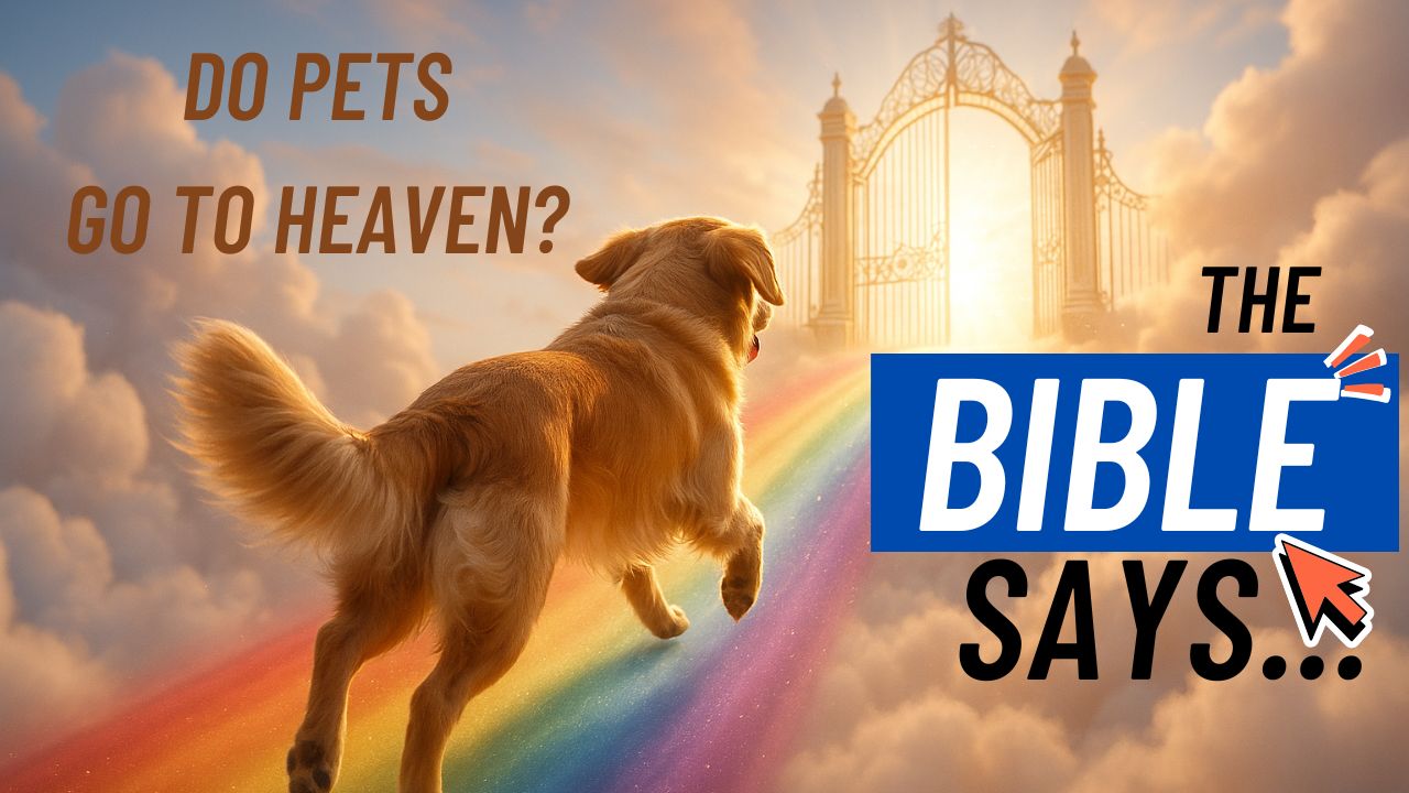 Faithfilled Storytime Explores Whether Pets Go to Heaven in New Biblical Video