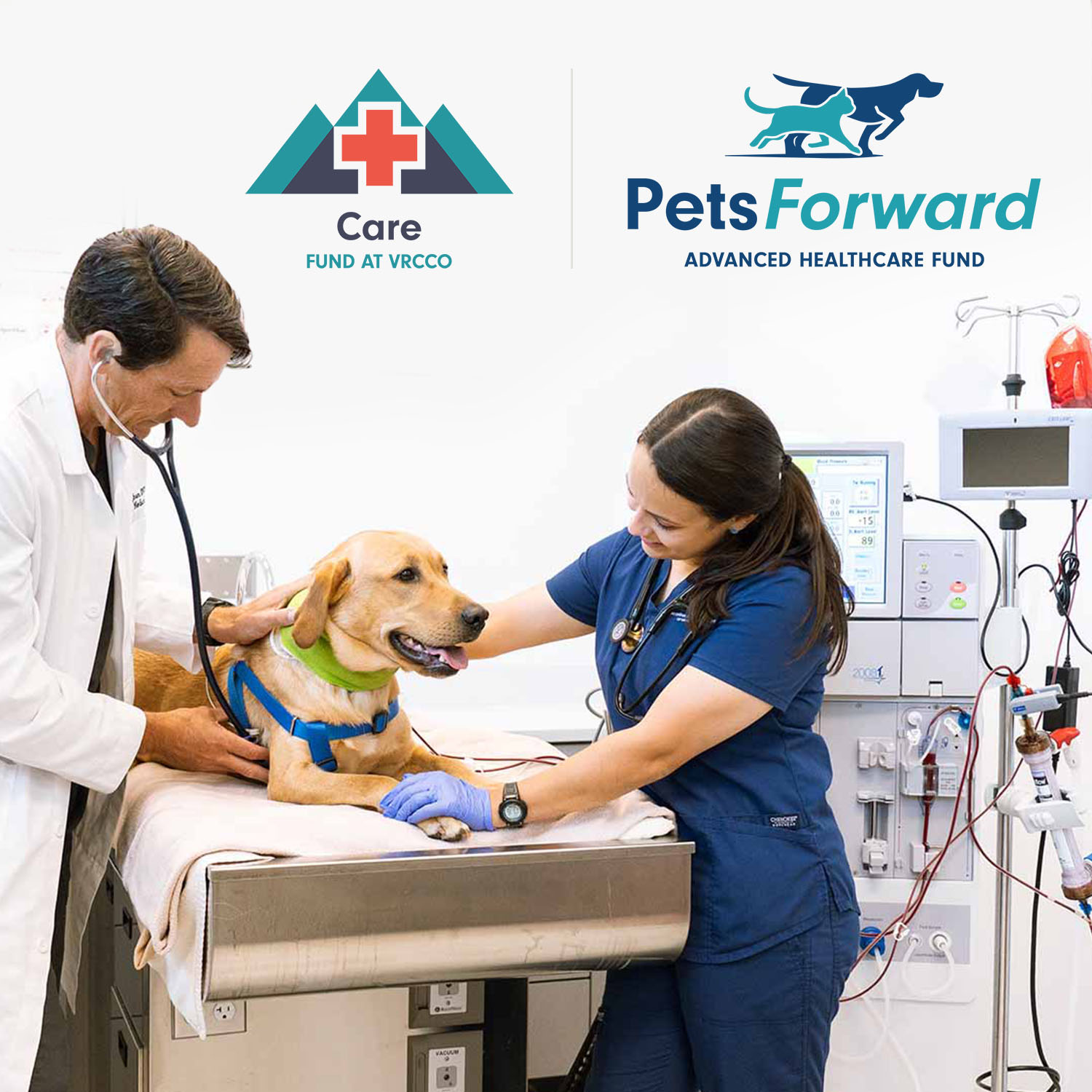 Veterinary Referral Center of Central Oregon Launches PetsForward
