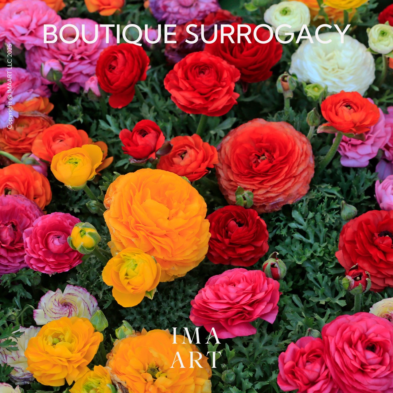 The First Boutique Surrogacy Agency Redefining Fertility