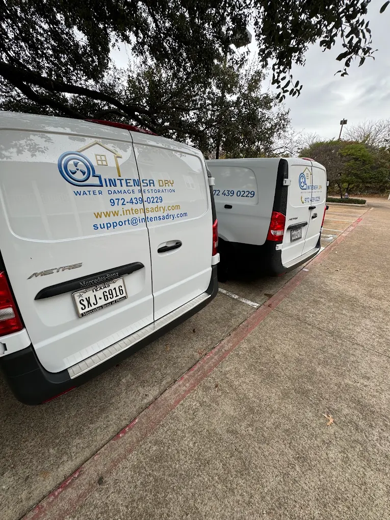 Intensa Dry Expands Restoration Services Across Dallas-Fort Worth Region