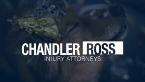 Chandler Ross Injury Attorneys Comments On Ensuring Safety: Dog Bite Precautions for New Year’s Eve Gatherings
